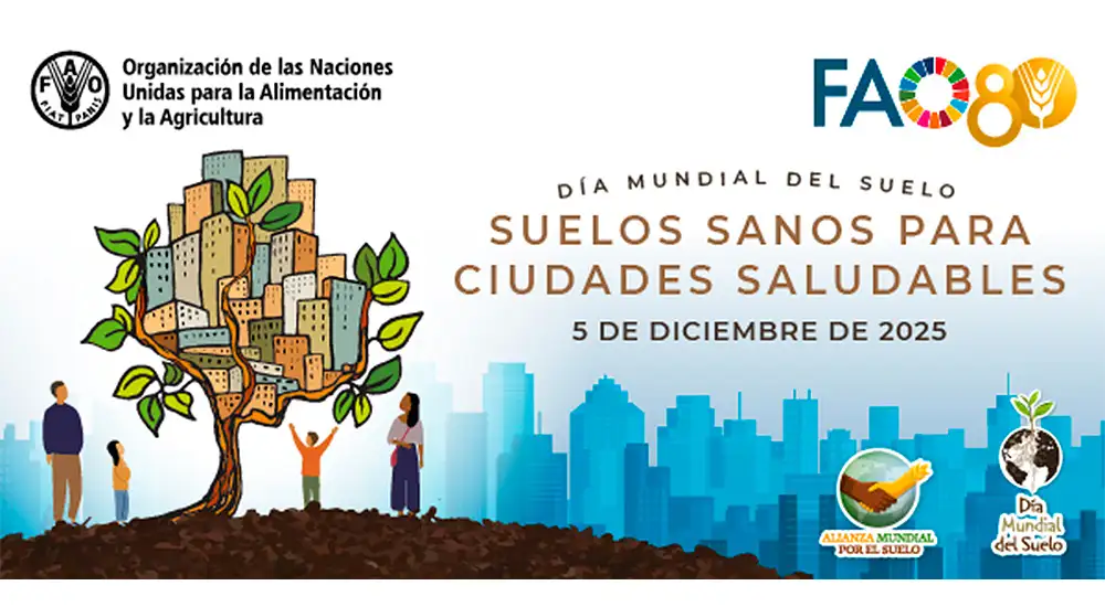 Suelos sanos para ciudades saludables Suelos sanos para ciudades saludables