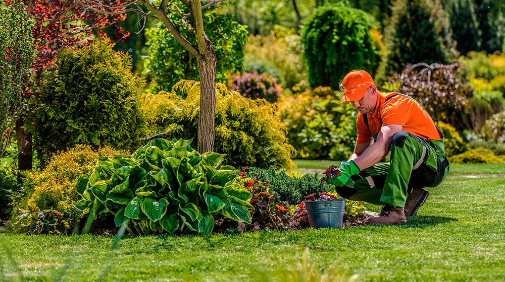 Trabajos en la jardinería privada