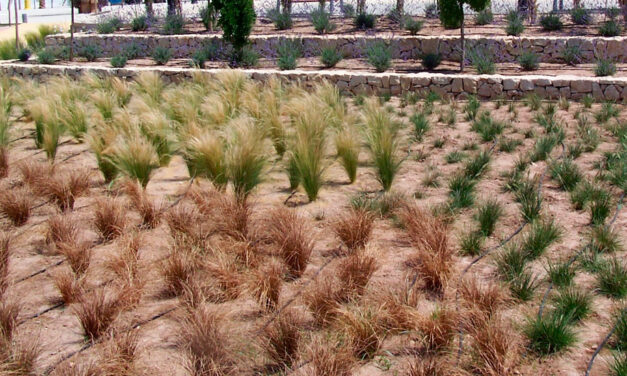 Recogida de envases agrícolas en Chipiona