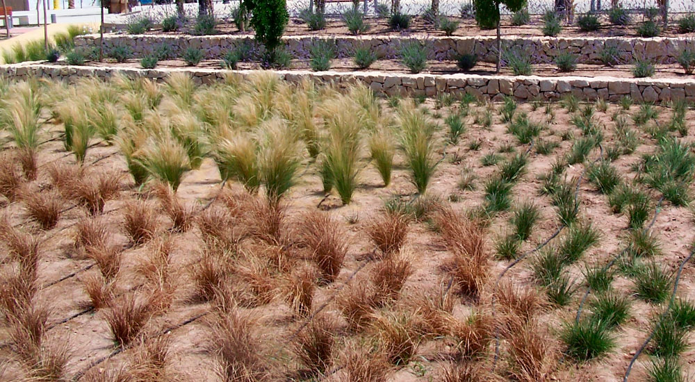 Recogida de envases agrícolas en Chipiona