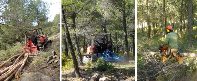 Prevención de incendios forestales