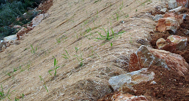 Mejora de terraplenes en pista forestal