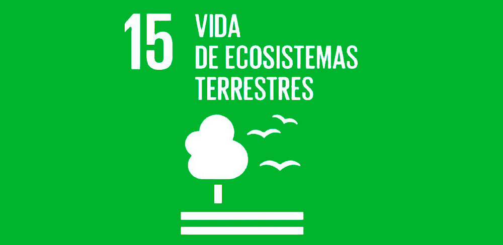 Ecosistemas Terrestres