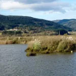 La clasificación de los humedales