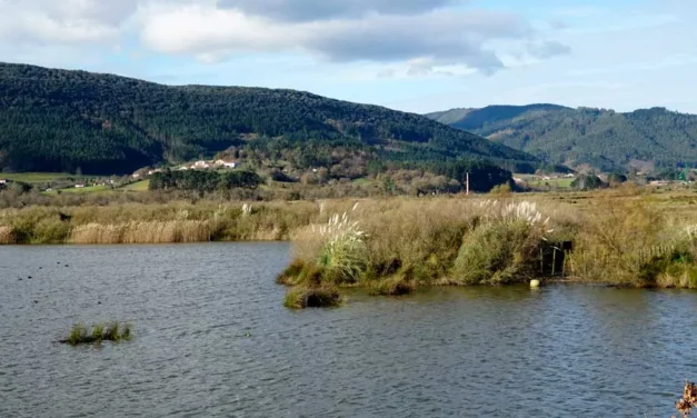 La clasificación de los humedales