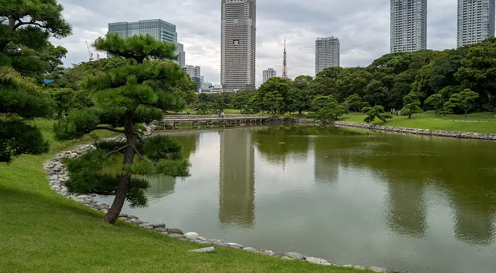 Zona verde en ciudad